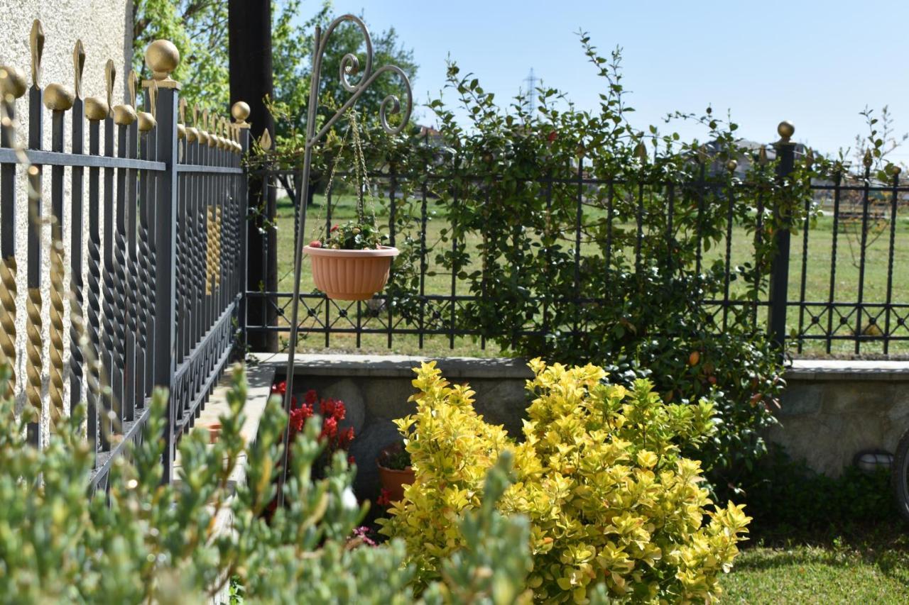 Poe Home Trikala Exteriér fotografie